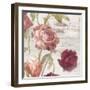 French Roses IV-Danhui Nai-Framed Art Print