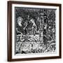 Brown Frame