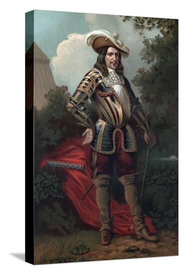 Stretched Canvas Print, , large