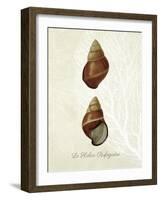 French Shell Print a-Fab Funky-Framed Art Print