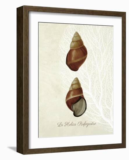 French Shell Print a-Fab Funky-Framed Art Print