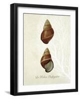 French Shell Print a-Fab Funky-Framed Art Print