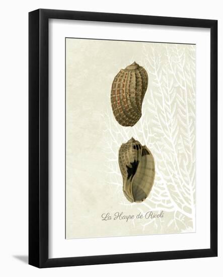 French Shell Print c-Fab Funky-Framed Art Print