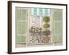 French Shutters 1-Stefania Ferri-Framed Art Print