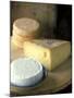 French Soft Cheese, Cheese with Holes and Munster Cheese-Joerg Lehmann-Mounted Photographic Print