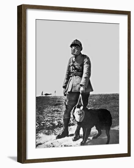 French Soldier and Dog Wearing Gas Masks on the Western Front, 1917-null-Framed Photographic Print