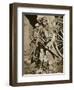 French soldier with wooden crosses to be placed on temporary graves, World War I, c1914-c1918-Unknown-Framed Photographic Print