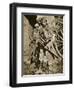 French soldier with wooden crosses to be placed on temporary graves, World War I, c1914-c1918-Unknown-Framed Photographic Print