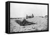 French Soldiers in a Foxhole, Second Battle of Champagne, France, September 25-November 6 1915-null-Framed Stretched Canvas