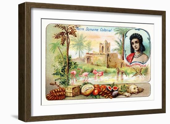 French Somaliland-null-Framed Giclee Print