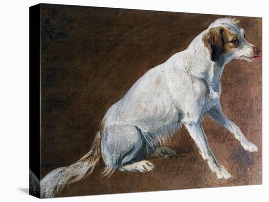French Spaniel Ancestor, by Alexandre-Francois Desportes (1661-1743), France, 18th Century-Alexandre-Francois Desportes-Stretched Canvas