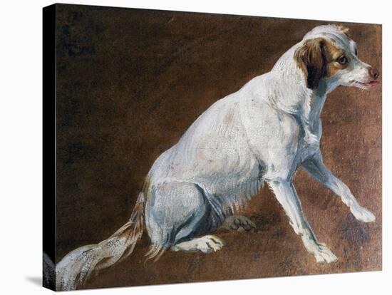 French Spaniel Ancestor, by Alexandre-Francois Desportes (1661-1743), France, 18th Century-Alexandre-Francois Desportes-Stretched Canvas