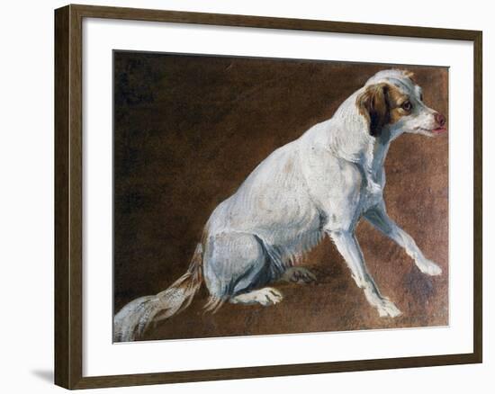 French Spaniel Ancestor, by Alexandre-Francois Desportes (1661-1743), France, 18th Century-Alexandre-Francois Desportes-Framed Giclee Print