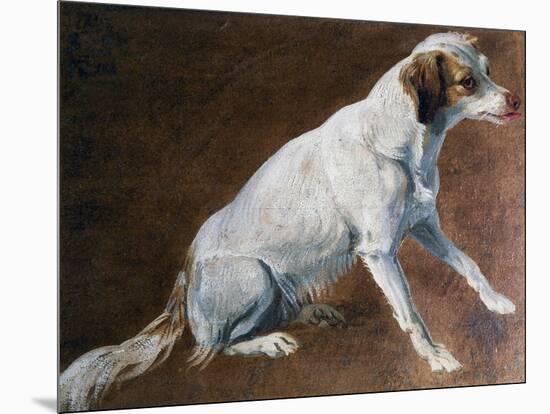 French Spaniel Ancestor, by Alexandre-Francois Desportes (1661-1743), France, 18th Century-Alexandre-Francois Desportes-Mounted Giclee Print