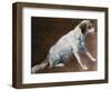 French Spaniel Ancestor, by Alexandre-Francois Desportes (1661-1743), France, 18th Century-Alexandre-Francois Desportes-Framed Giclee Print