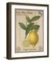 French Stamp - Lemon-Maria Mendez-Framed Giclee Print