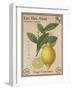 French Stamp - Lemon-Maria Mendez-Framed Giclee Print