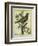 French Starling-Georges-Louis Buffon-Framed Giclee Print