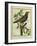 French Starling-Georges-Louis Buffon-Framed Giclee Print