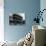 French Style House-null-Photographic Print displayed on a wall