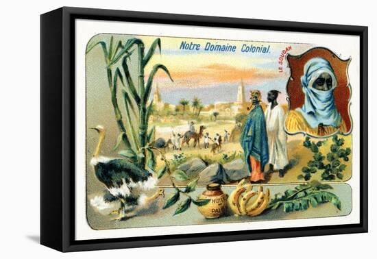 French Sudan, from a Series of Collecting Cards Depicting the Colonial Domain of France, C.1910-null-Framed Stretched Canvas