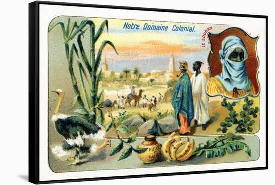 French Sudan, from a Series of Collecting Cards Depicting the Colonial Domain of France, C.1910-null-Framed Stretched Canvas