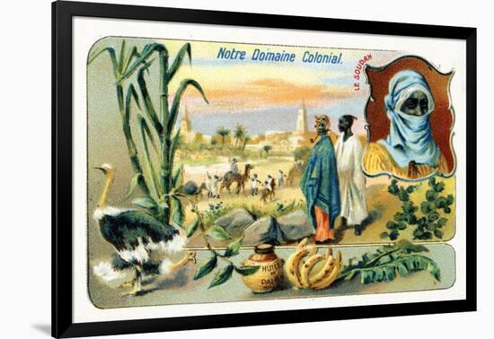 French Sudan, from a Series of Collecting Cards Depicting the Colonial Domain of France, C.1910-null-Framed Giclee Print