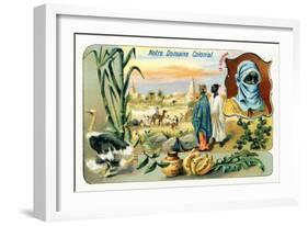 French Sudan, from a Series of Collecting Cards Depicting the Colonial Domain of France, C.1910-null-Framed Giclee Print