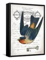 French Swallow I-Gwendolyn Babbitt-Framed Stretched Canvas