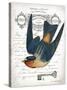 French Swallow I-Gwendolyn Babbitt-Stretched Canvas
