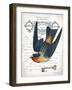 French Swallow I-Gwendolyn Babbitt-Framed Art Print