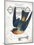 French Swallow I-Gwendolyn Babbitt-Mounted Art Print