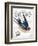 French Swallow II-Gwendolyn Babbitt-Framed Art Print