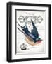 French Swallow II-Gwendolyn Babbitt-Framed Art Print