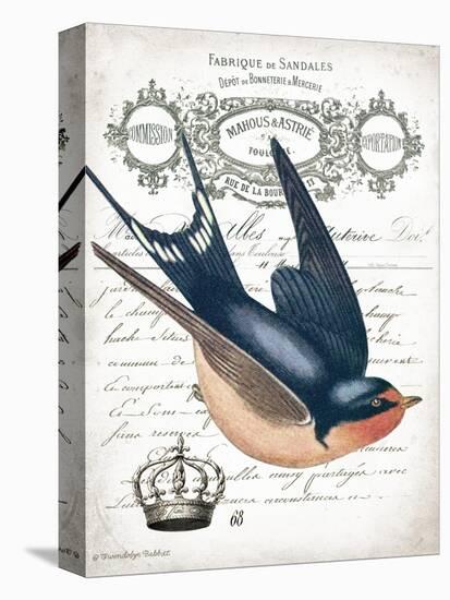 French Swallow II-Gwendolyn Babbitt-Stretched Canvas