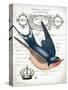 French Swallow II-Gwendolyn Babbitt-Stretched Canvas