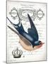 French Swallow II-Gwendolyn Babbitt-Mounted Art Print