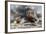 French Tank Assault, July 1918-Francois Flameng-Framed Giclee Print