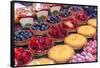 French tarts, Halles de Lyon, Lyon, France-Lisa S. Engelbrecht-Framed Stretched Canvas