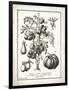 French Tomatoes-Gwendolyn Babbitt-Framed Art Print