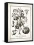 French Tomatoes-Gwendolyn Babbitt-Framed Stretched Canvas