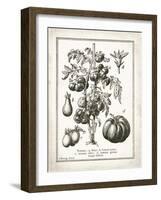 French Tomatoes-Gwendolyn Babbitt-Framed Art Print