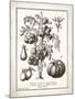 French Tomatoes-Gwendolyn Babbitt-Mounted Art Print