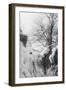 French Trenches on the Piave River, Italian Front, December 1917-null-Framed Giclee Print