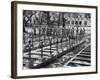French Troops Paying Last Respects to Fallen Comrades Prior to Leaving City-null-Framed Photographic Print