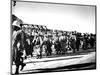 French Troops, Tientsin, China, 1900-null-Mounted Giclee Print