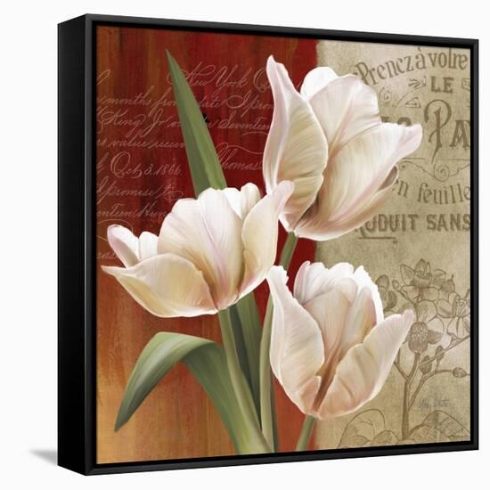 French Tulip Collage II-Abby White-Framed Stretched Canvas