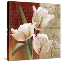 French Tulip Collage II-Abby White-Stretched Canvas