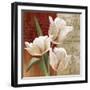 French Tulip Collage II-Abby White-Framed Art Print