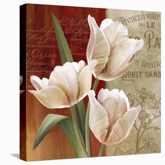 French Tulip Collage II-Abby White-Stretched Canvas